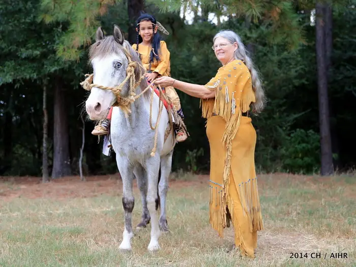 American Indian Horse