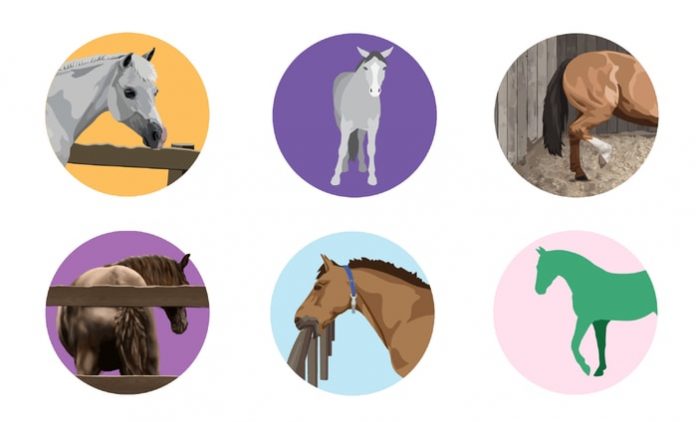Common Stable Vices