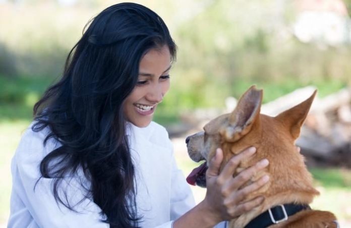 Common Problems with Dogs