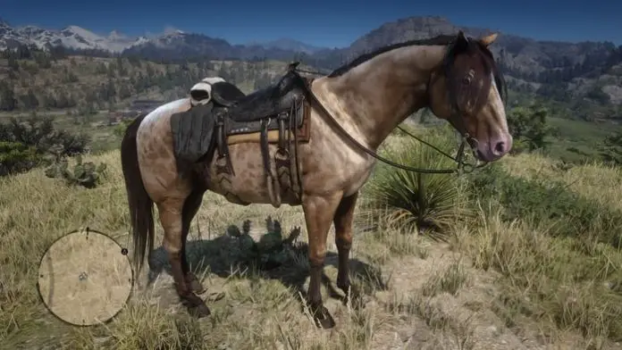 Missouri Fox Trotter