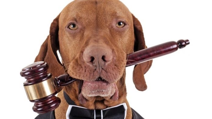Dog Laws