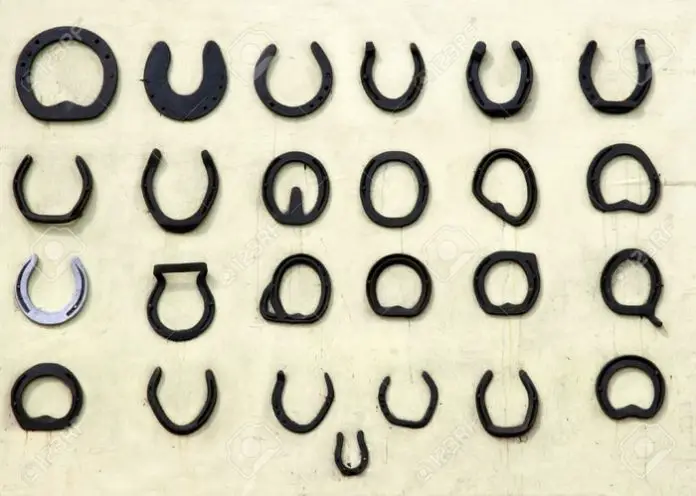 Types of Horse Shoes