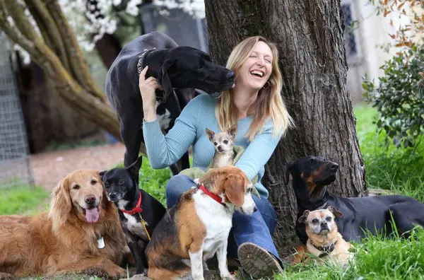 What You Look for Dog Daycare