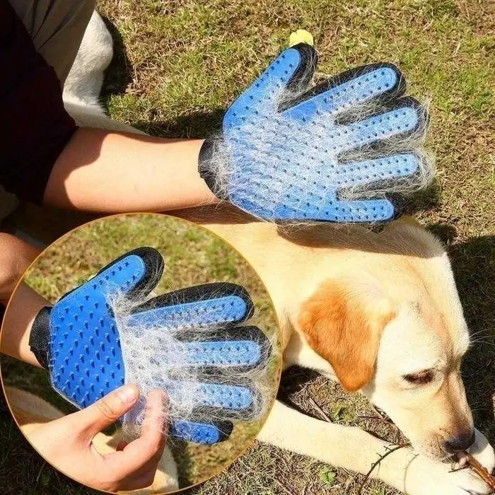 Grooming Glove