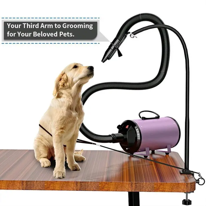 Hair Drier for Dogs