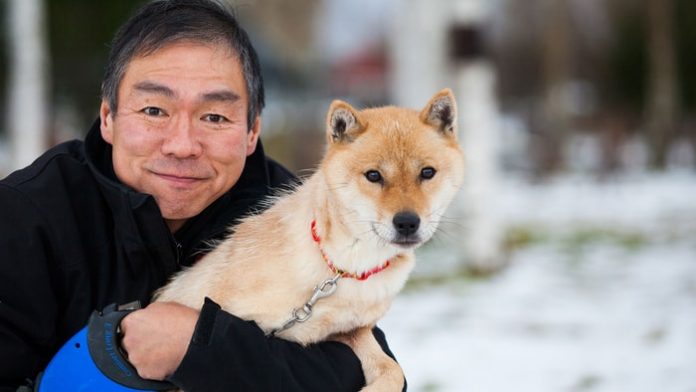 Ainu Dog of Japan