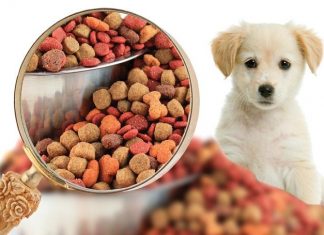 Basic Nutrient Dog Food