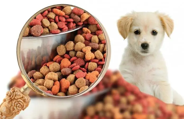 Basic Nutrient Dog Food