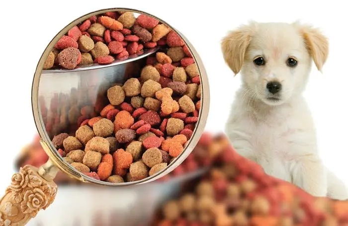 Basic Nutrient Dog Food