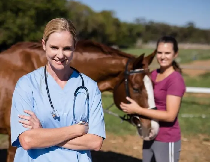 Equine Vet