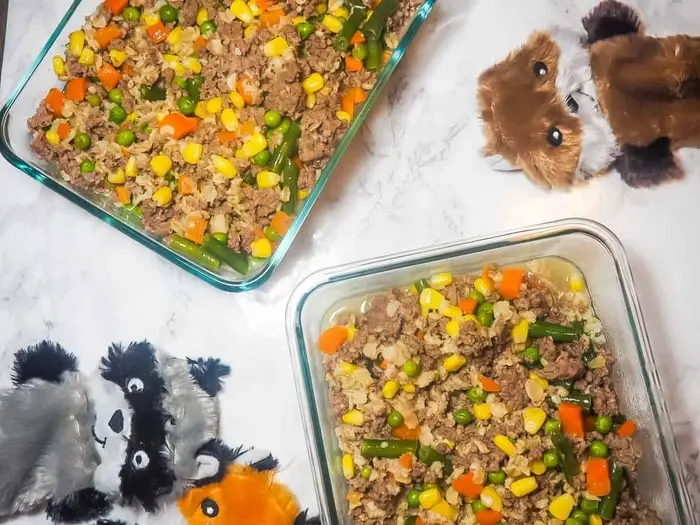Homemade Dog Food