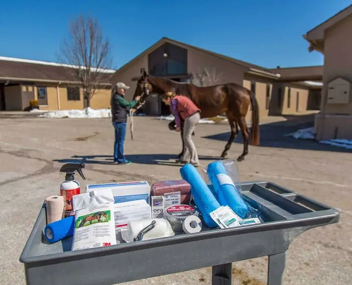 Horse First Aid