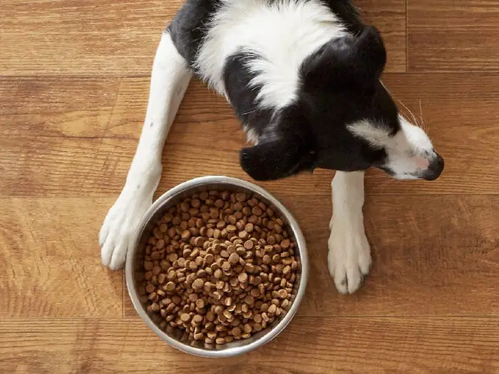Private Level Brand Dog Food