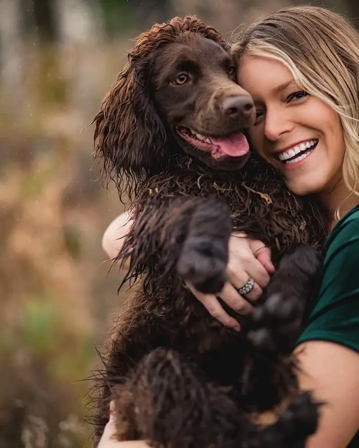 Temperament of Boykin Spaniel