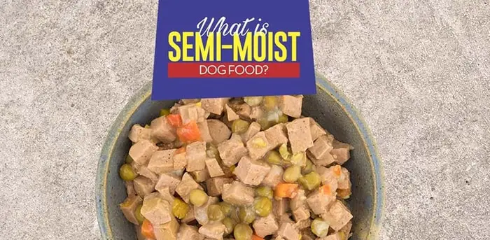 Types of Dog Food- Semi Moist