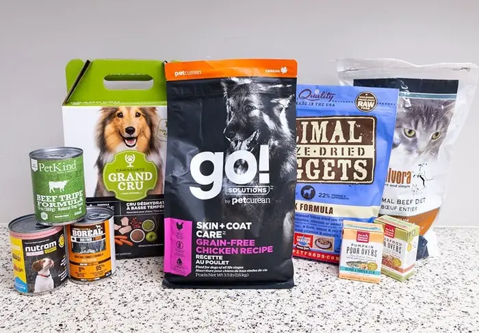 Types of Dog Food