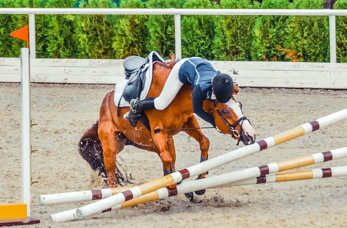 Accidents During Show Jumping