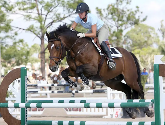 Beautiful Show Jumping