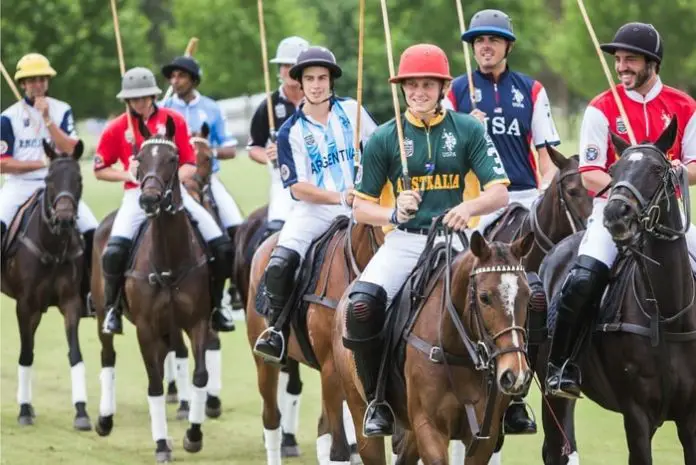 Horse Polo Sports
