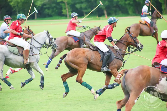 Origin of Equine Polo