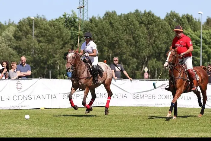 Polo Rules and Regulations