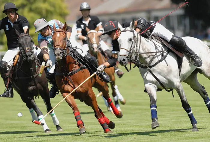 Polo Rules