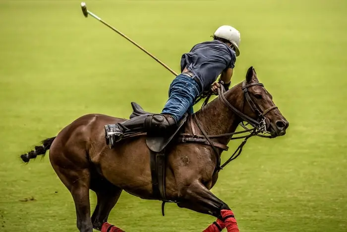 Shots of Horse Polo