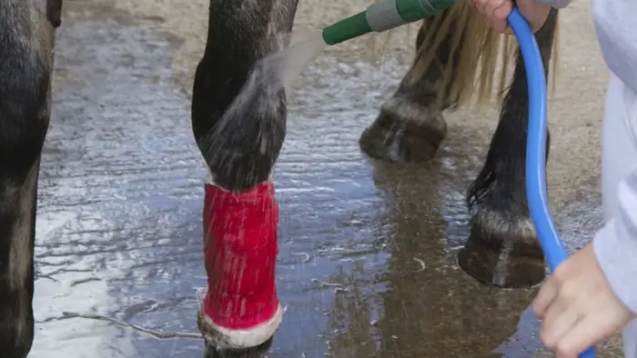 Cleaning of Wound