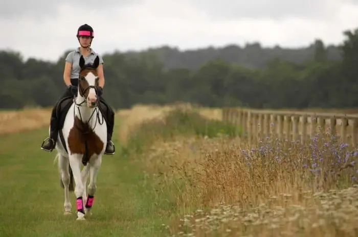 Country Horse Riding