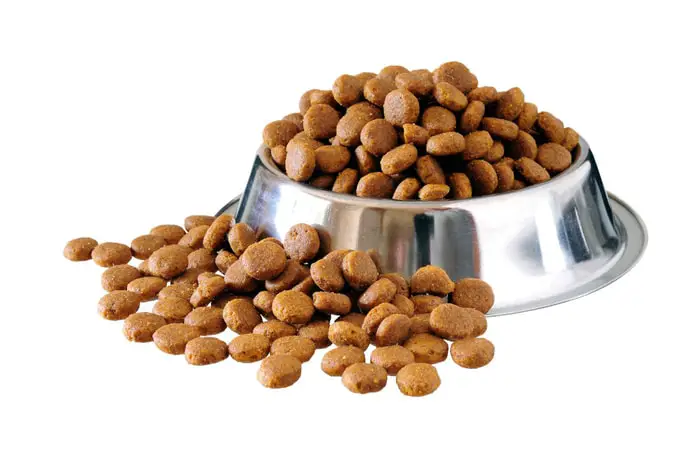 Healthy Dog Food for weight loss