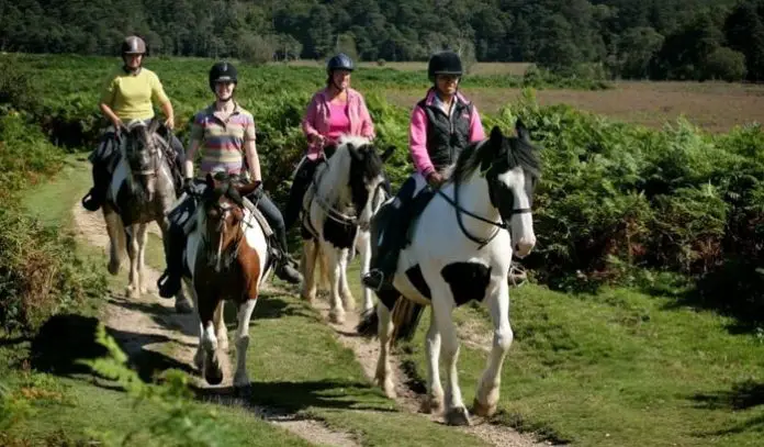Horse Hacking