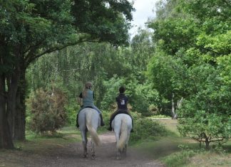 Preparation for Horse Riding