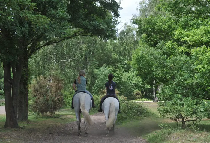 Preparation for Horse Riding