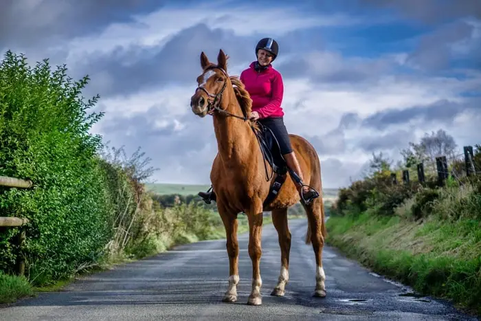 Safe Horse Riding