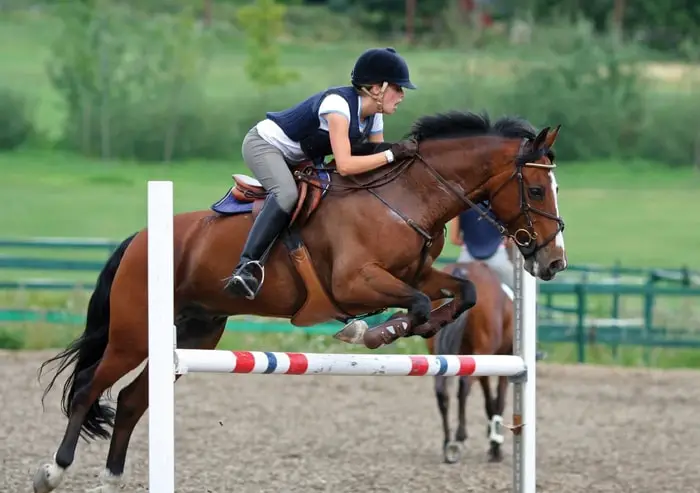 Equipment for Horse Eventing