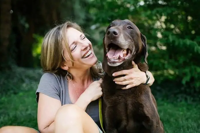 Arthritis in Dogs