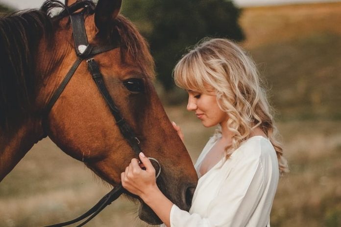 Best Horse Gift