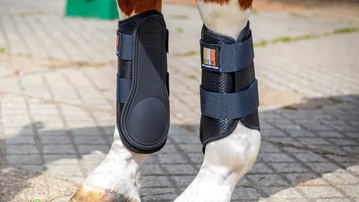Brushing Boots