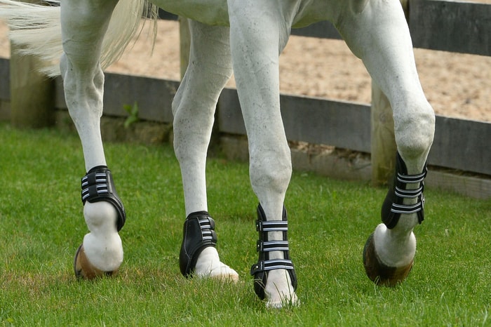 Different Types of Horse Boots