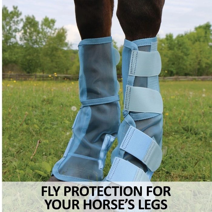 Fly Boots for Horses