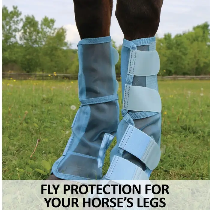 Fly Boots for Horses