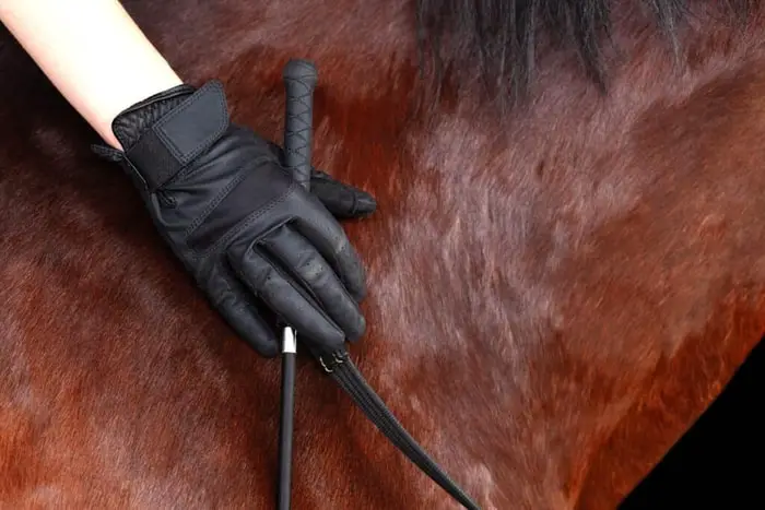 Luxury Hand Gloves for Rider