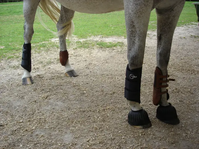 Splint Boots
