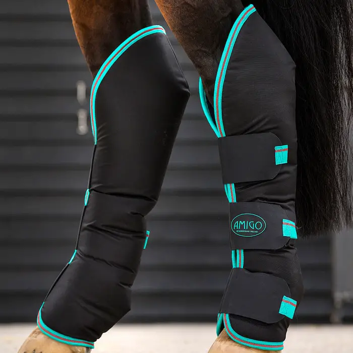 Travel Boots