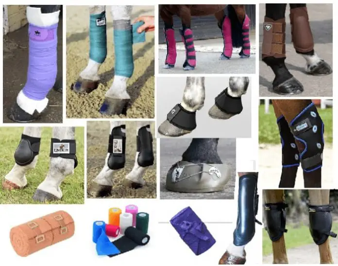 Types of Horse Boots