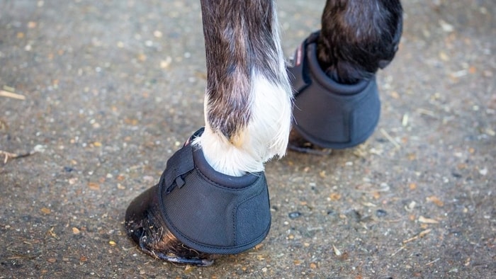 Types of Horse Boots-Overreach Boots