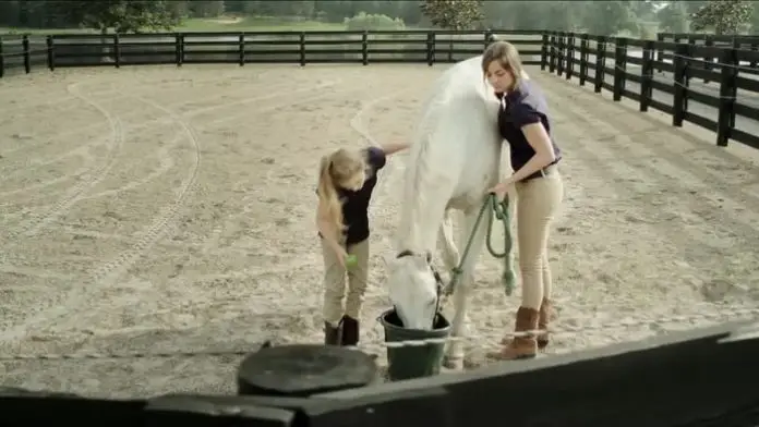 Horse Casting