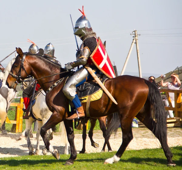 Warhorse breeds