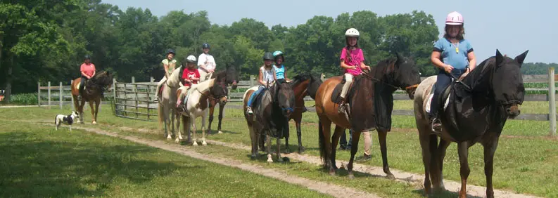 Horse Pleasure Riding