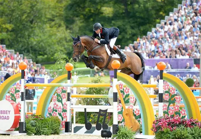 Jumping by Belgian Warmblood